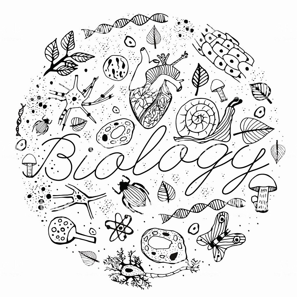Biology Coloring Pages