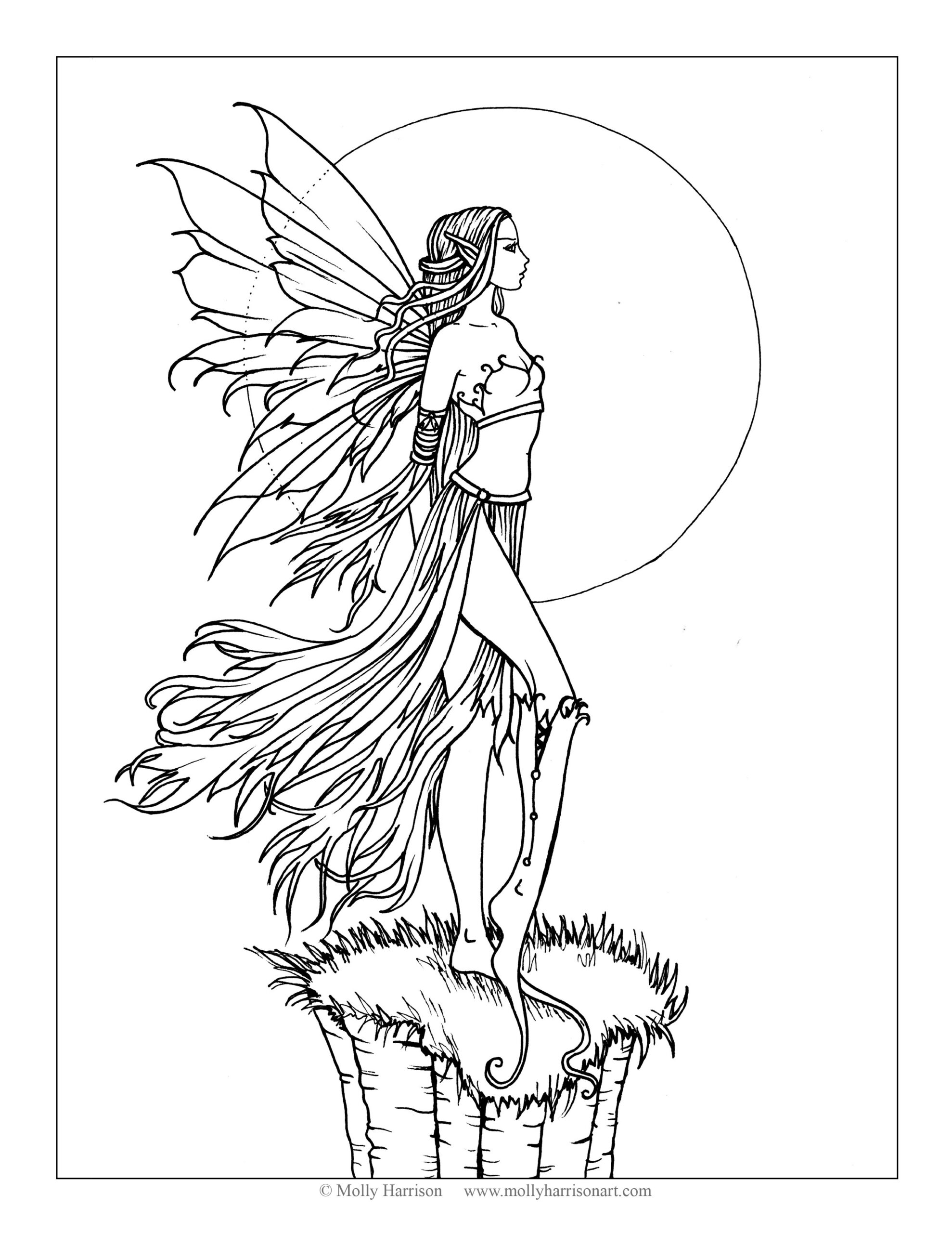 The Fairy Art And Fantasy Art Of Molly Harrison Official Shop And Gallery The Fairy Art And