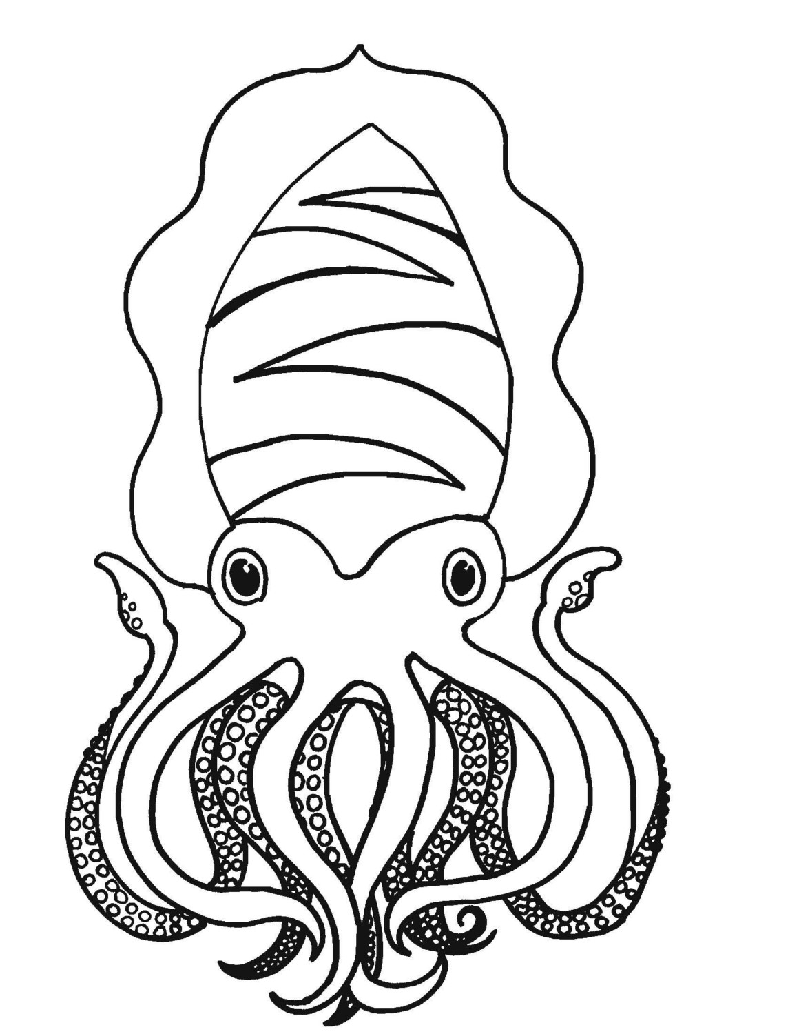 The Giant Squid Colouring Pages Sketch Coloring Page