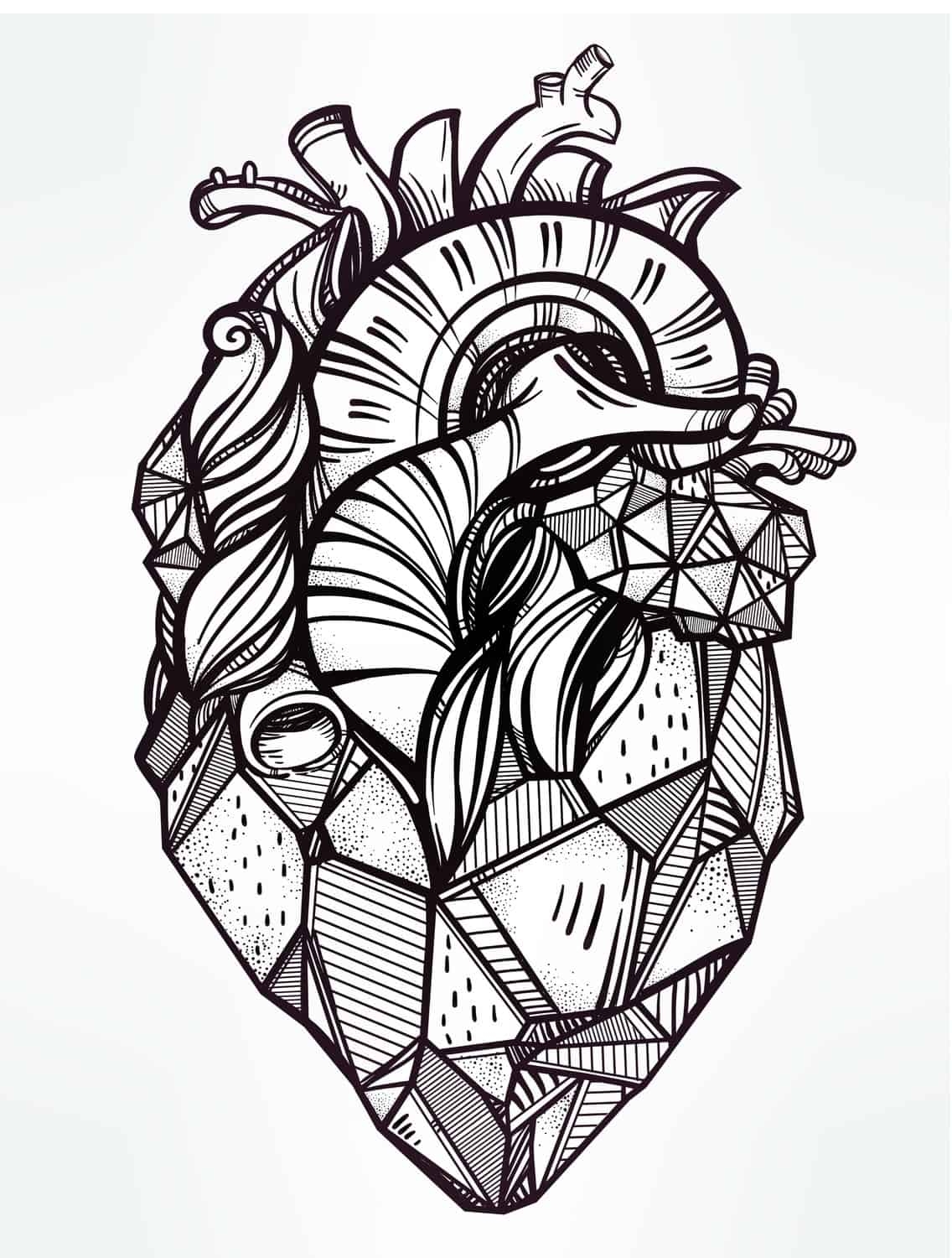 The Human Heart Coloring Pages Learny Kids