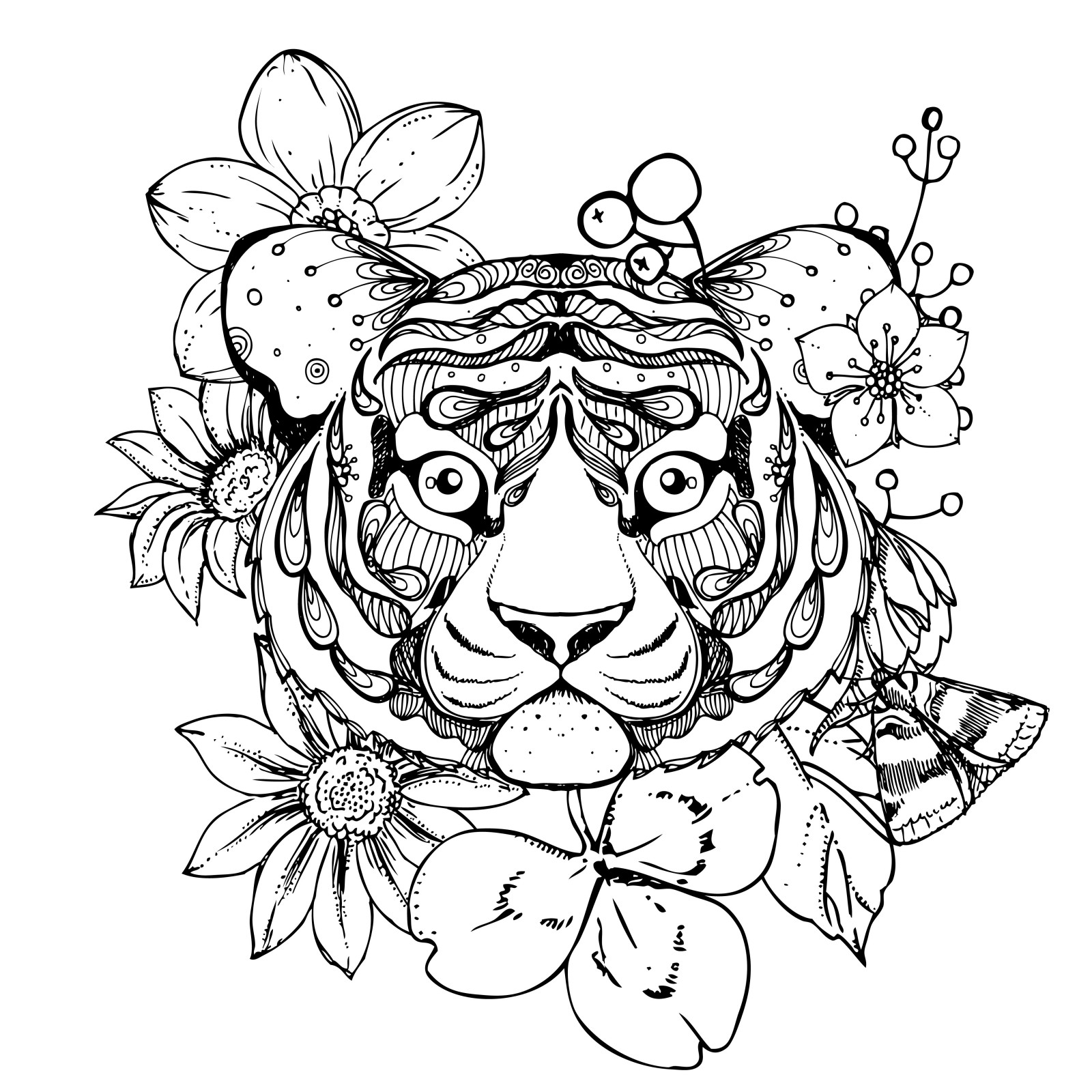 Adult Coloring Pages Tiger