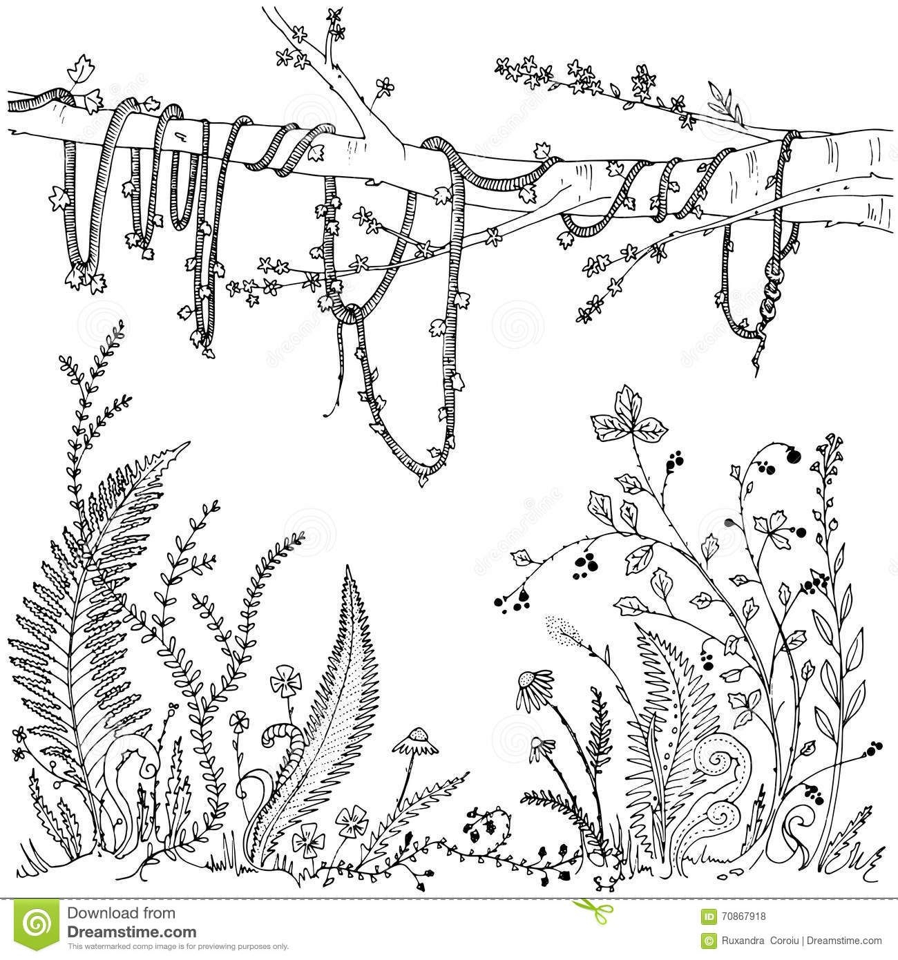 Top 10 Printable Vines Coloring Pages