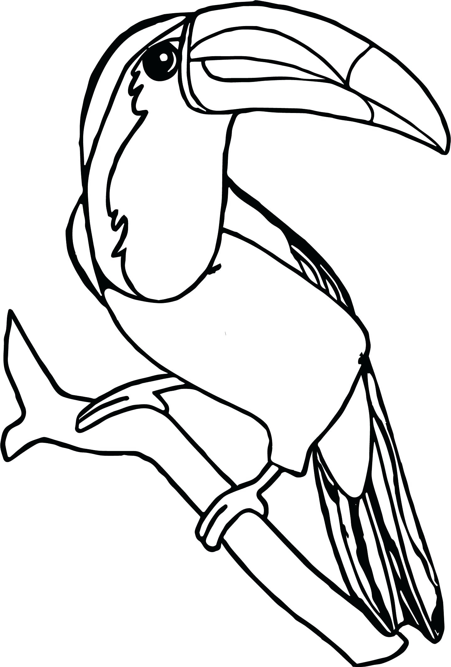 Toucan Coloring Pages