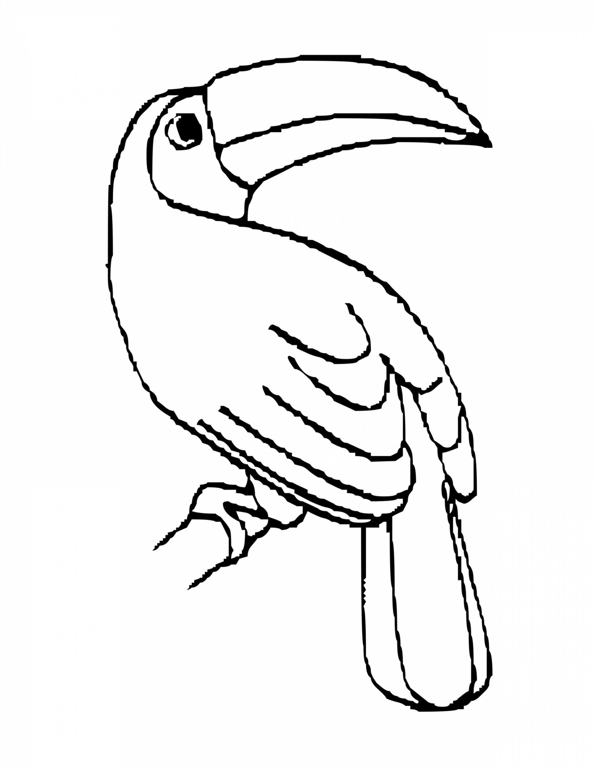 Toucan Coloring Pages Best Coloring Pages For Kids