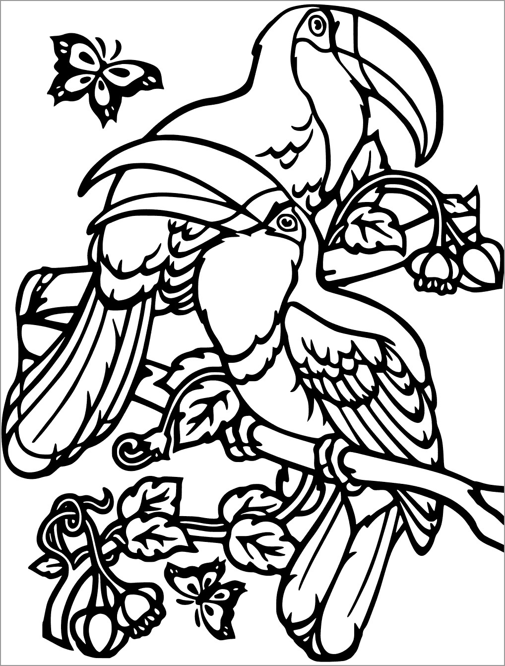 Toucan Coloring Pages ColoringBay