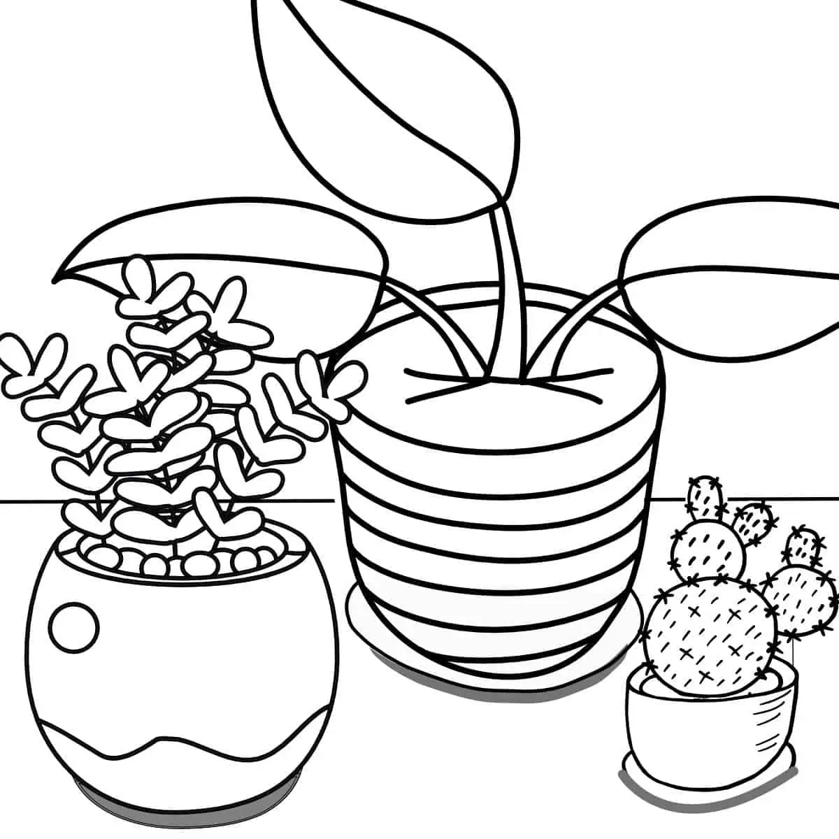 Types Of Plants Coloring Pages Printable Templates Free