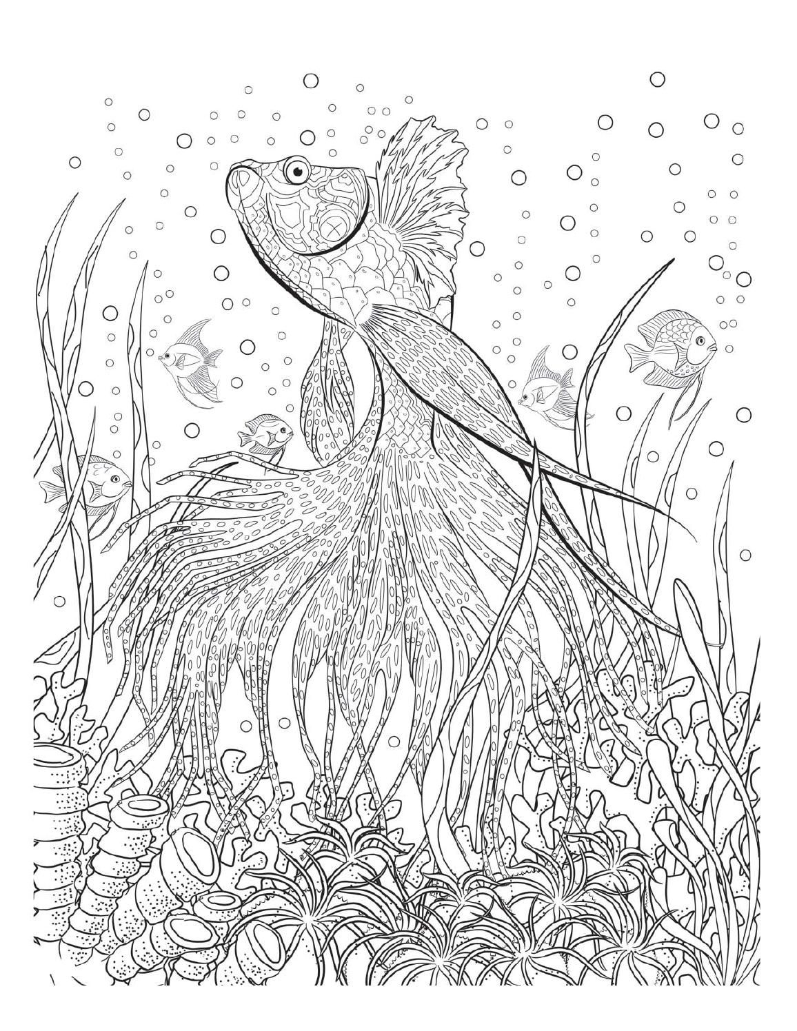 Underwater Coloring Pages For Adults At GetColorings Free Printable Colorings Pages To