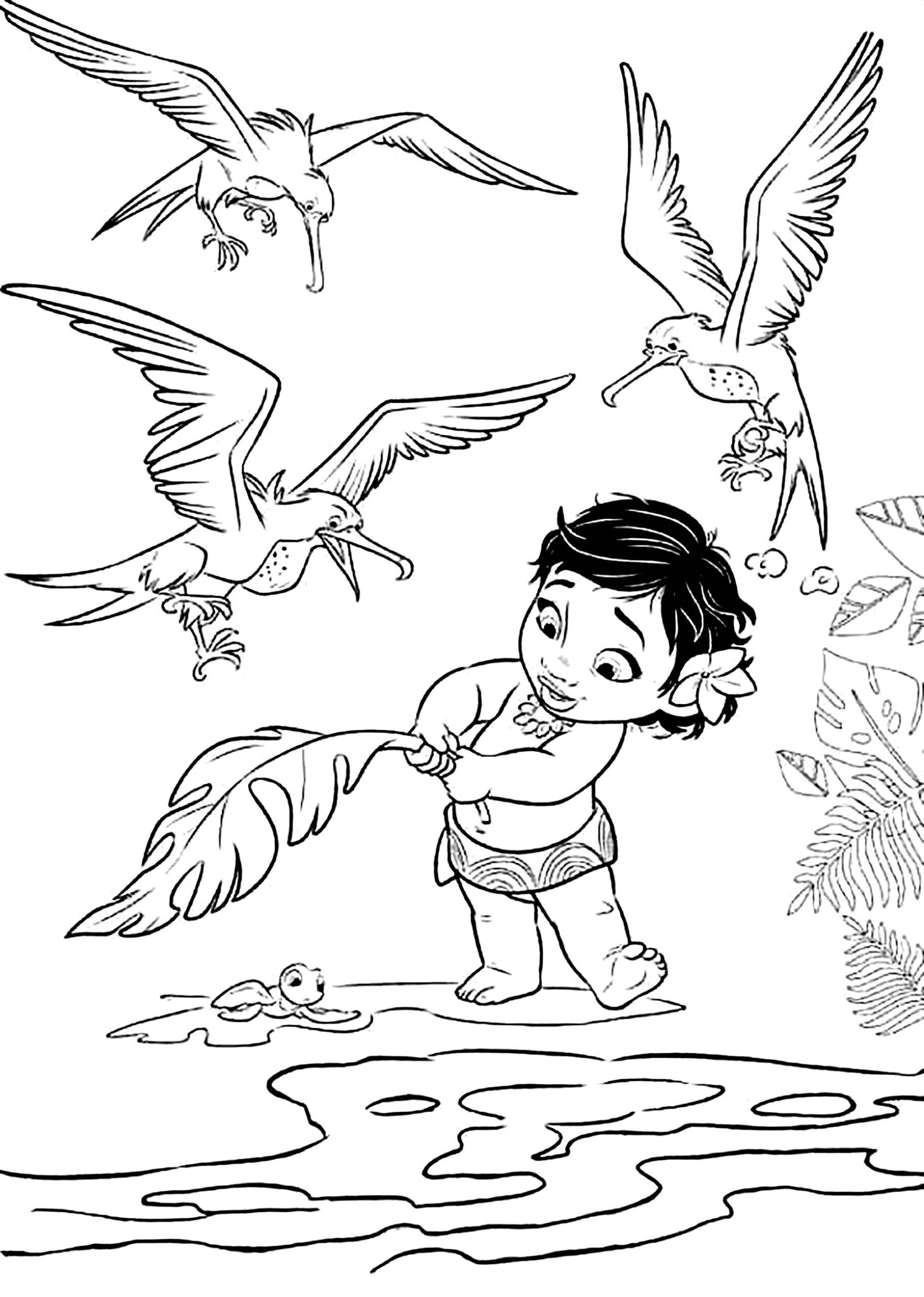 Free Moana Coloring Pages