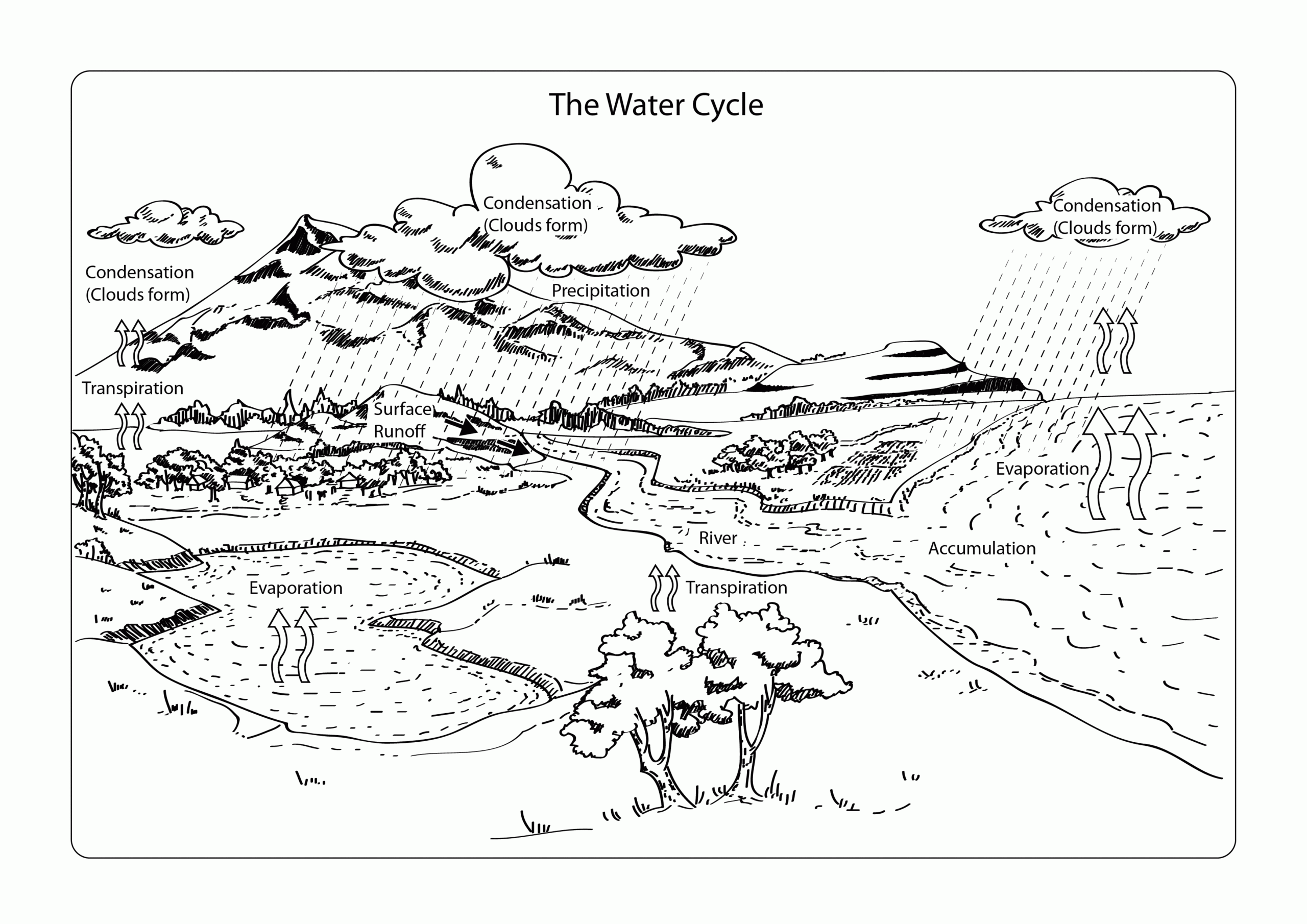 Water Cycle Coloring Page 19 Pictures Colorine 23547 Coloring Home