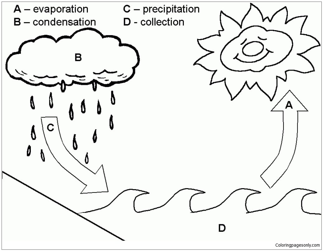 Hydrologic Cycle Coloring Page