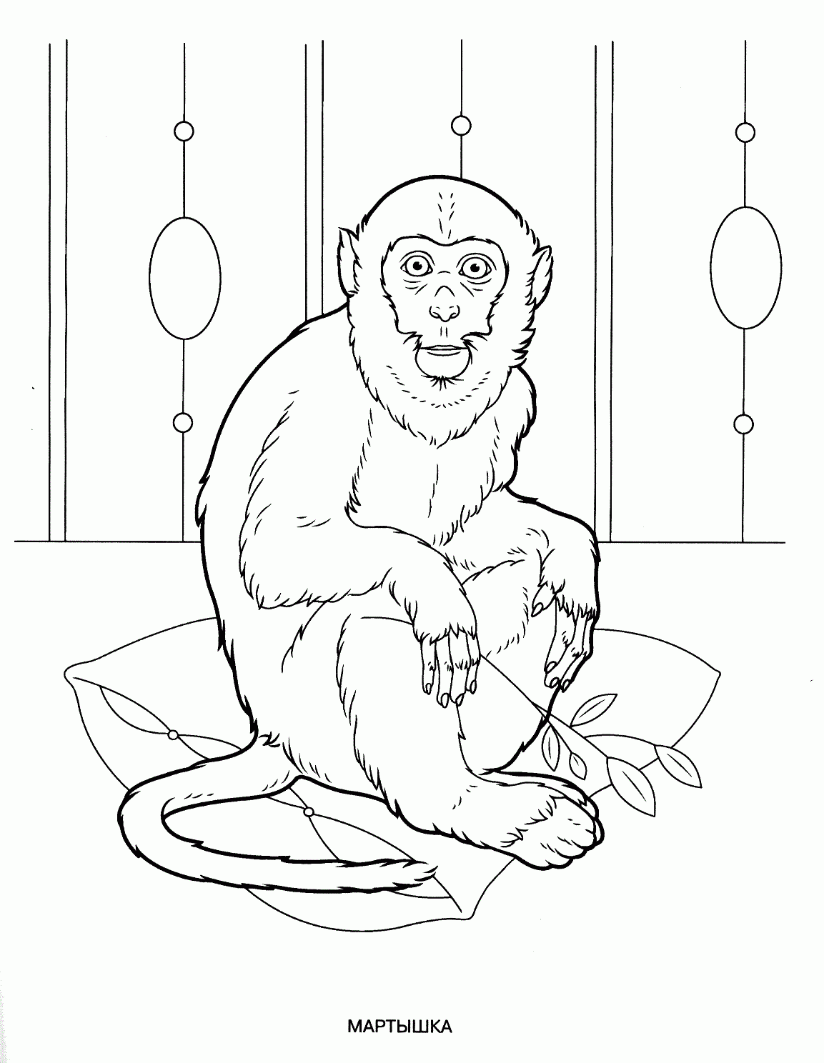 Rarely Seen Animals Coloring Pages