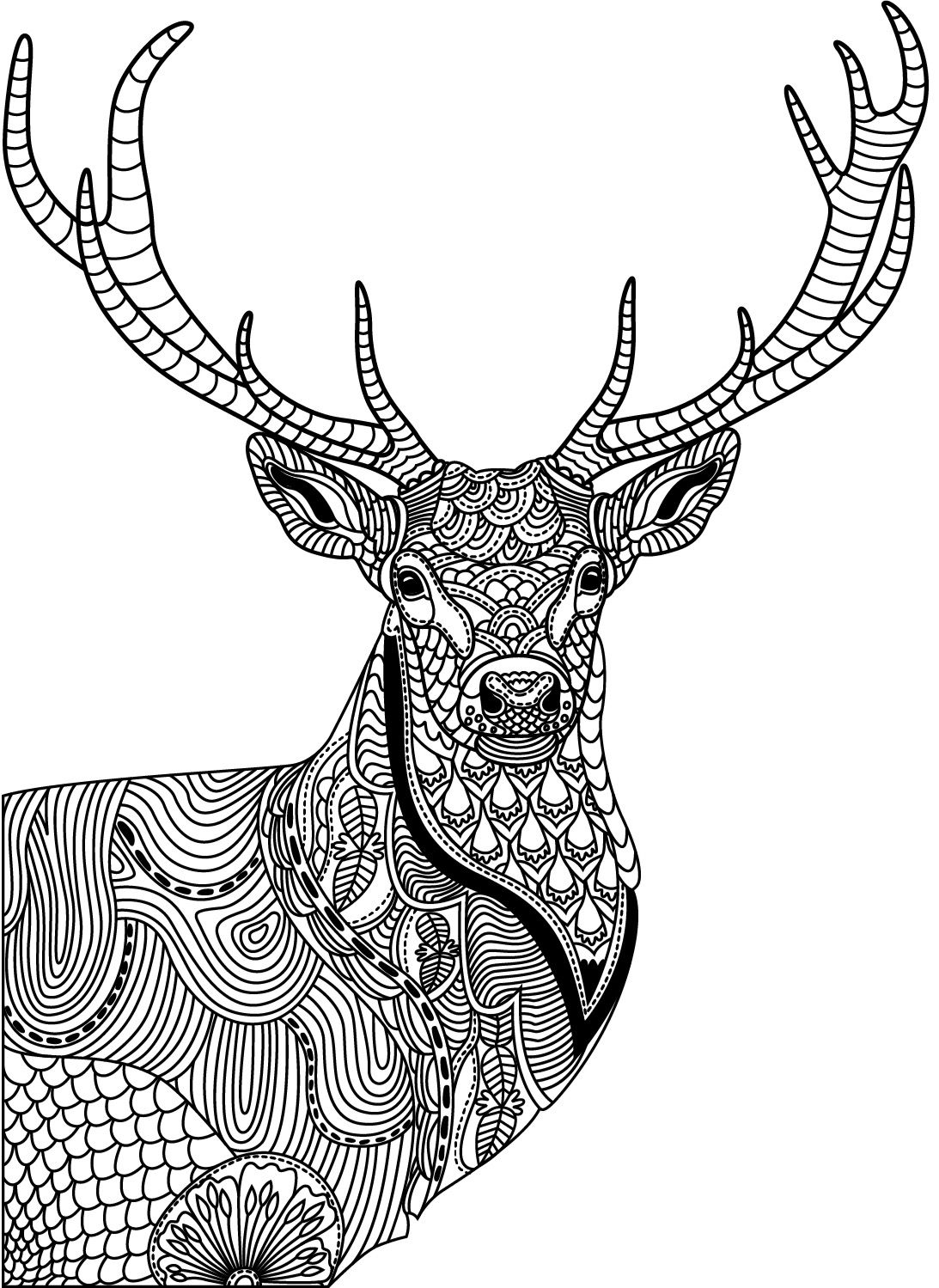 Wildlife Coloring Pages For Adults
