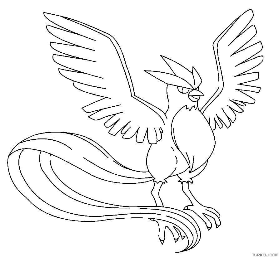 Wingull Coloring Pages Free Pokemon Coloring Pages Printables