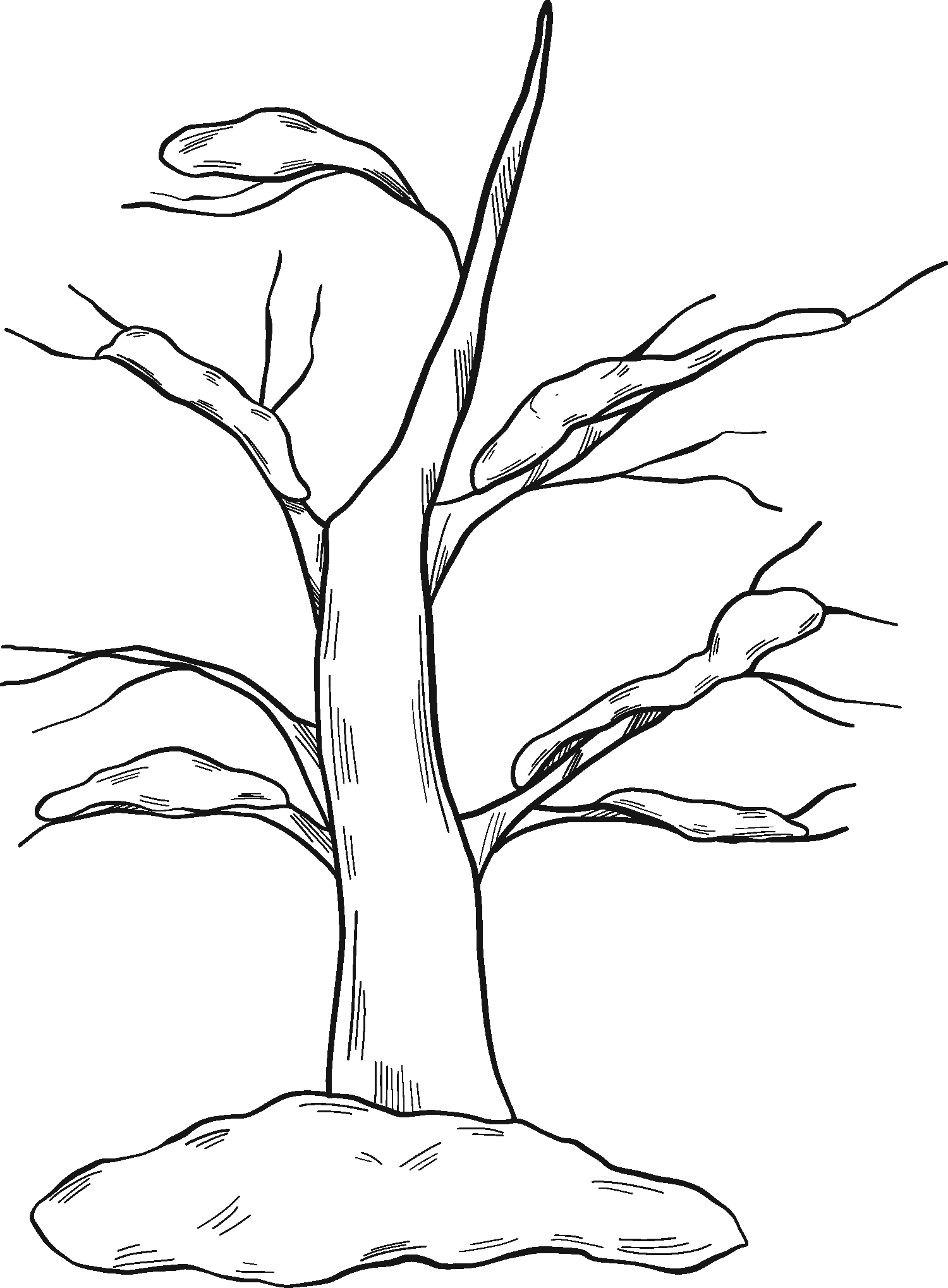 Winter Tree Coloring Page ColouringPages