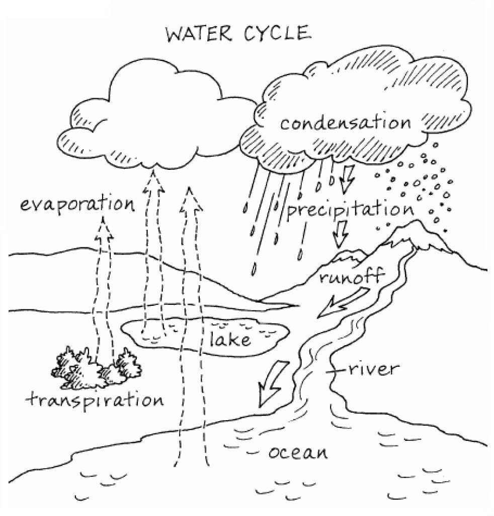 Within Water Cycle Coloring Page Free Printable Coloring Pages