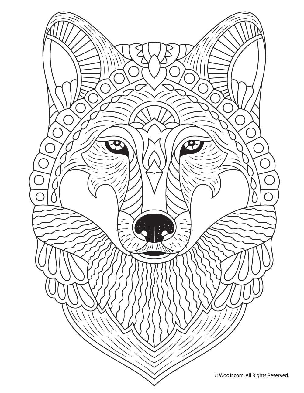 Wolf Adult Coloring Page Woo Jr Kids Activities Children S Publishing P Ginas Para