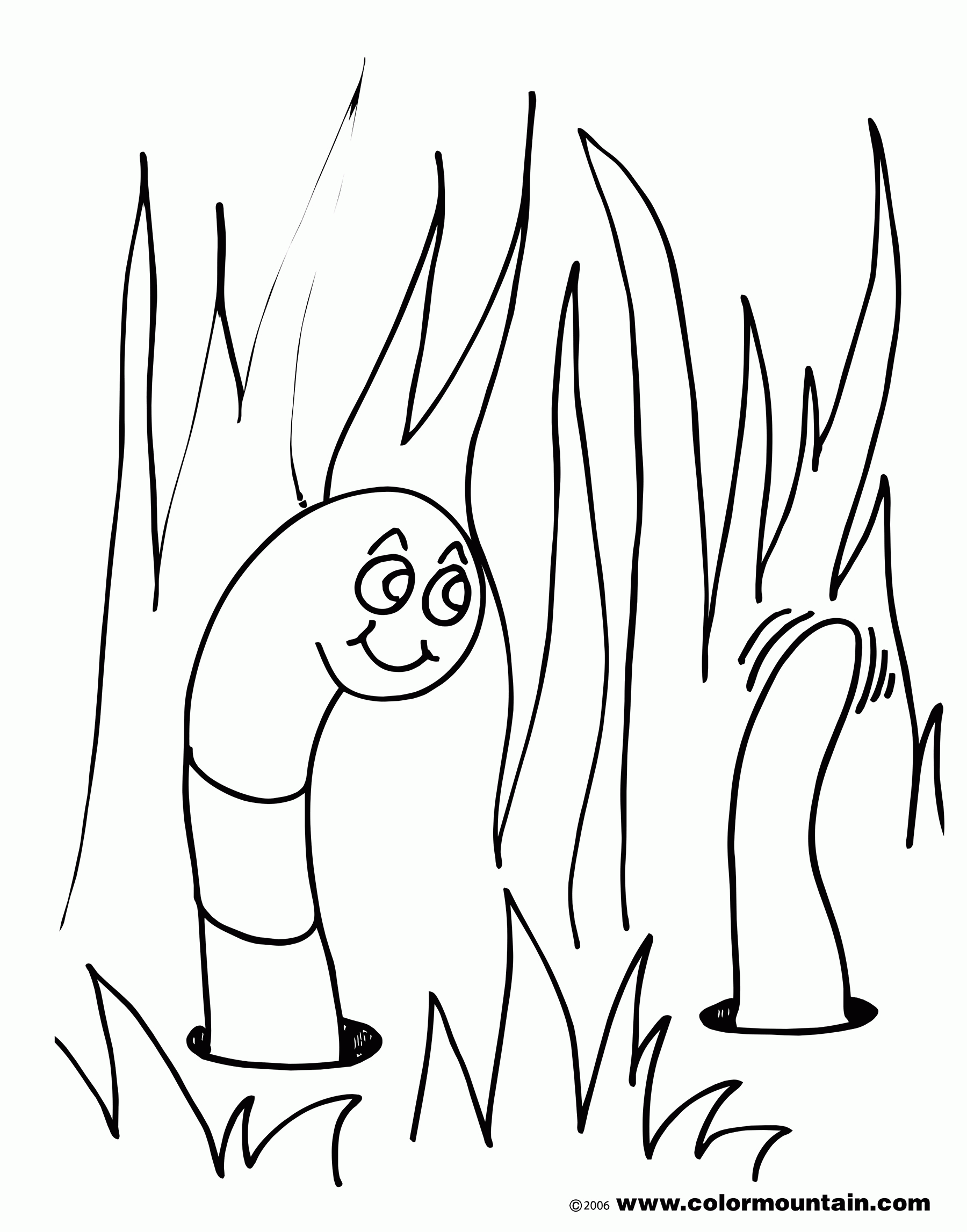 Worm Coloring Pages