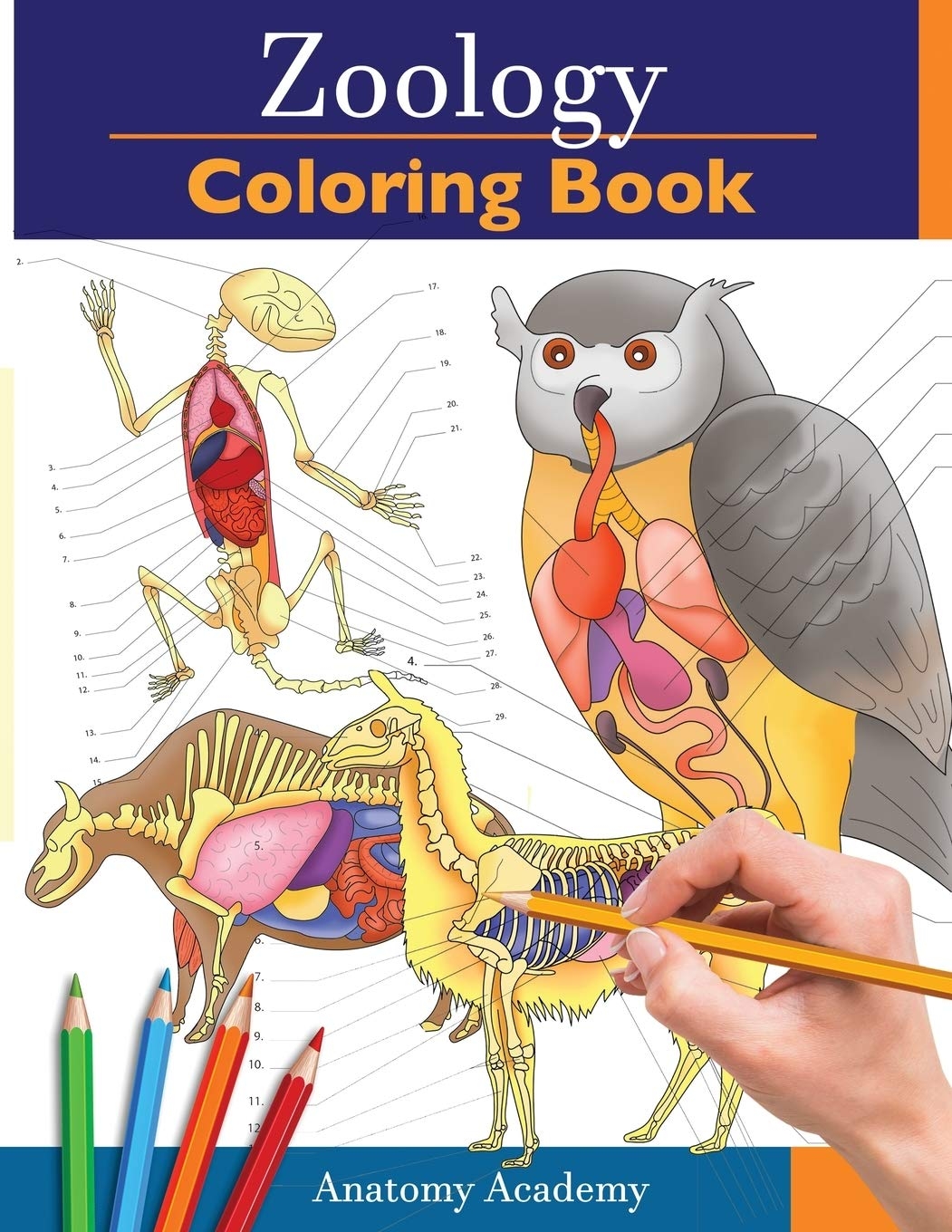 Zoology Coloring Pages