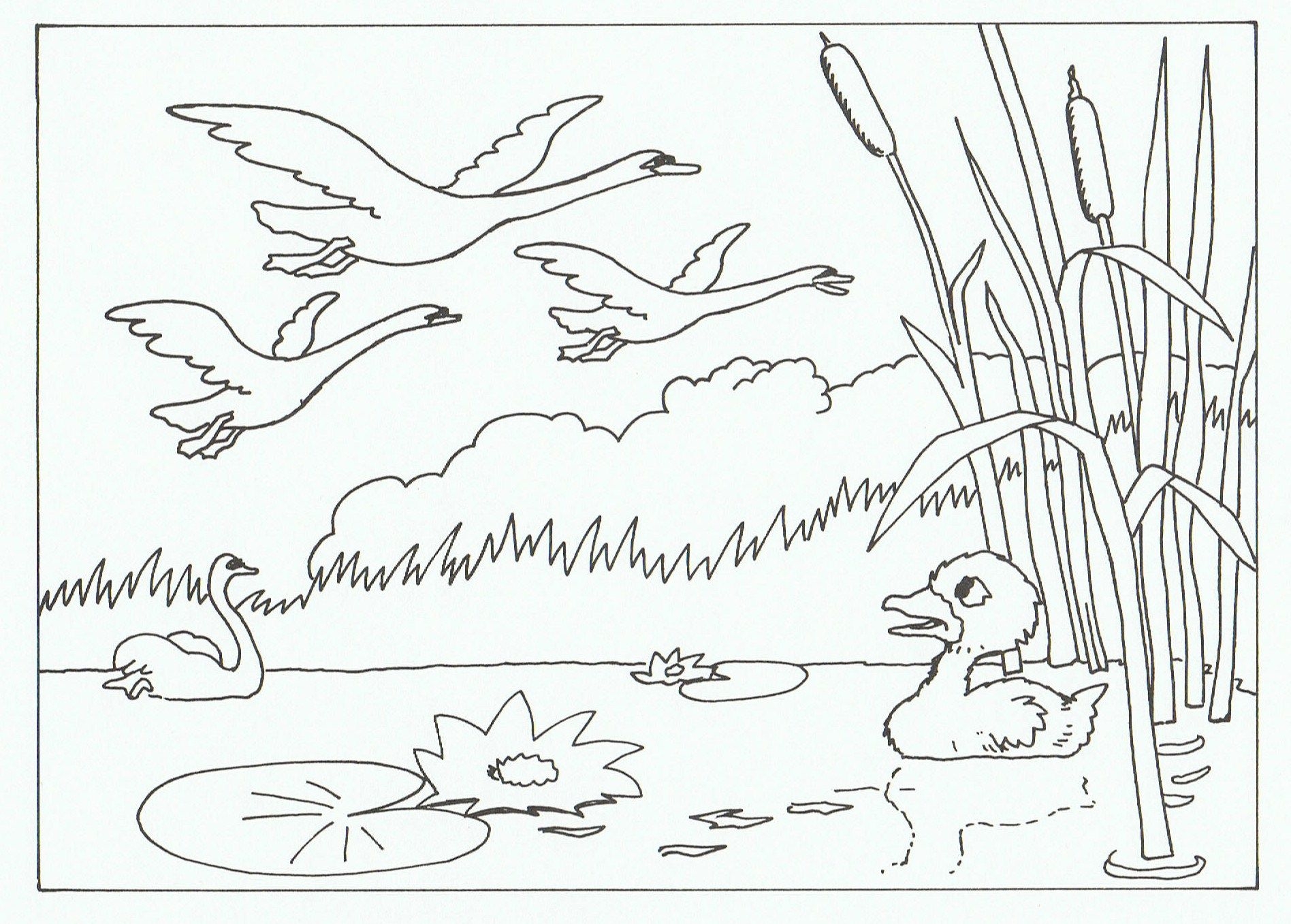 free coloring pages for the ugly duckling kaylahaxmorton