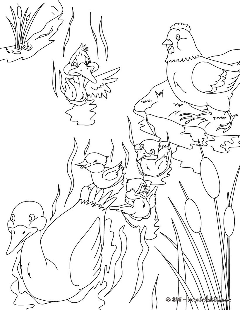 Ugly Duckling Coloring Page